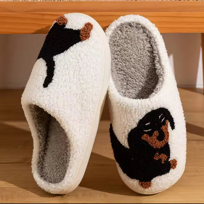 Dog Shelter Slippers